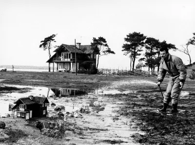 Андрей Тарковский «Жертвоприношение» | Andrey Tarkovsky «Sacrifice» |  Scenes, Cool artwork, Art films картинки