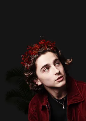 Timothée Chalamet - Тимоти Шаламе Обои (44386977) - Fanpop картинки