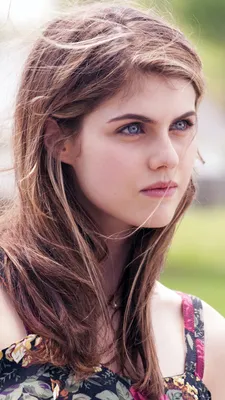 Скачать бесплатно обои ID: 425312 / Celebrity Alexandra Daddario, Брюнетка, Голубые глаза, Актриса, Американка, Лицо, 800x1280 скачать бесплатно картинки