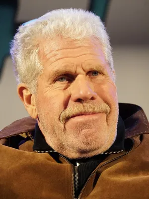 Пин от пользователя Salem T на доске Ron Perlman | Рон перлман, Кинозвезды, Рон картинки