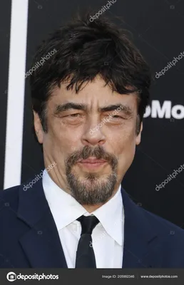 traffic - Benicio del Toro Image (7046010) - Fanpop картинки