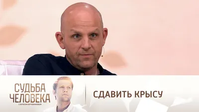 Судьба человека с Борисом Корчевниковым. Федор Лавров о том, как завоевал  первую жену // Смотрим картинки