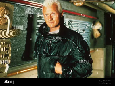 Zum Tode von Rutger Hauer - Welcher ist euer Lieblingsfilm? (Фильм, Filme und Serien, Umfrage) картинки