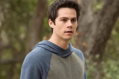 Dylan O'Brien - Дилан О'Брайен Обои (34947687) - Fanpop картинки