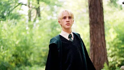 Tom Felton Fondos de pantalla Imágenes por Delmor-3 | Испанские изображения картинки