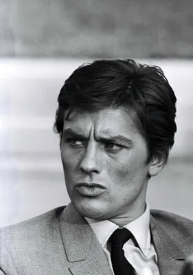 Alain Delon - Ален Делон Обои (8441206) - Fanpop картинки