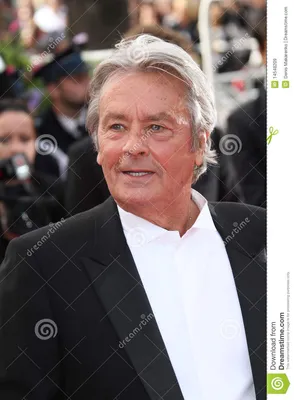 Указатель /photos-du-monde/les-plus-belles-photos-de-alain-delon-acteur-star-mythique картинки