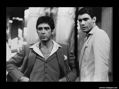 Tony Montana, al pacino, scarface, HD phone wallpaper картинки