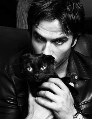 Hot Ian Somerhalder Фонды одежды Ian Somerhalder Imágenes por Max | Испанские изображения картинки