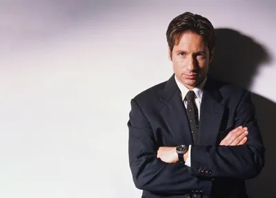 Обои david duchovny, fox mulder, the x-files картинки на рабочий стол, раздел мужчины - скачать картинки