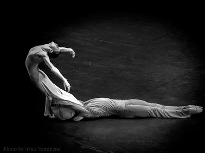 Lyubov Andreyeva and Oleg Gabyshev | Ballet: The Best Photographs картинки