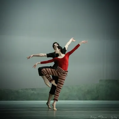 Olesya Novikova and Xander Parish | Ballet: The Best Photographs картинки