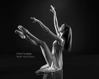 Allyssa Bross | Ballet: The Best Photographs картинки