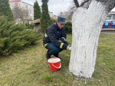 Спасатели Брестчины приняли участие в республиканском субботнике картинки