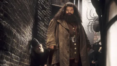 Die Todesursache von Hagrid-Darsteller Robbie Coltrane steht fest - Musikexpress картинки