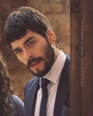 Акин Акинозу• #akinakinozü #akinakinözü #hercai #actorslife #actor #красивый #mensfashion #beard | Медведь, Армия, Тинтин картинки