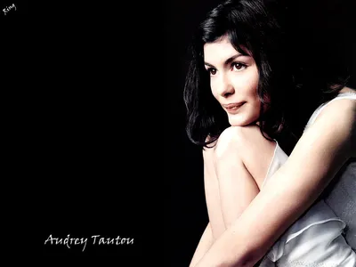 Скачать обои Audrey Tautou, портрет, французская актриса, брюнетка, красивая женщина для монитора с разрешением 3840x2400. Высококачественные обои HD картинки картинки