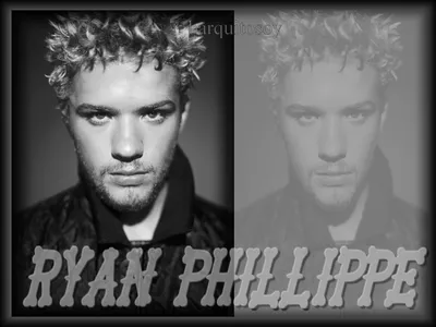 Te Amo Ryan Phillippe Fondos de pantalla Imágenes por Teirtza | Испанские изображения картинки