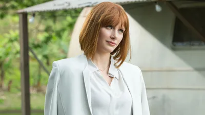 Обои взгляд, портрет, актриса, hair, Брайс Даллас Ховард, Bryce Dallas Howard картинки на рабочий стол, раздел девушки - скачать картинки