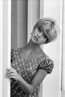 Обои Venus в Goldie Hawn — KATE ZAREMBA COMPANY картинки