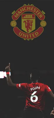 Paul Pogba Manchester United 2016 17 Ultra HD Обои для рабочего стола для 4K UHD TV: Планшет: Смартфон картинки