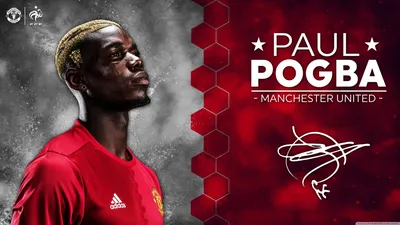 Скачать обои ID: 315025 / Sports Paul Pogba Phone Wallpaper, Manchester United F.C., 1440x2960 ​​скачать бесплатно картинки