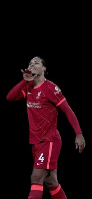 749 изображений Virgil Van Dijk, векторных изображений и изображений | Шаттерсток картинки