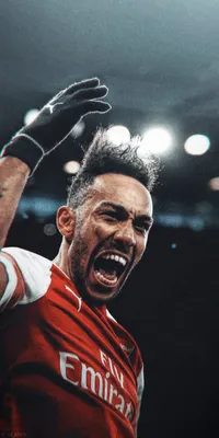 Скачать бесплатно Pierre Emerick Aubameyang Alexandre Lacazette Arsenal 20182019 [1152x2048] для ПК, мобильных и планшетов | Исследуйте 26+ обоев «Арсенал 2019» | Арсенал Телефон Обои, Арсенал Обои, Найк Арсенал Обои картинки