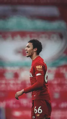 za.design on Twitter: \"Обои TAA 📱 Трент Александр Арнольд - Ливерпуль #LIVNEW #YNWA #Liverpool #TAA https://t.co/lFDl7DwiUM\" / Twitter картинки