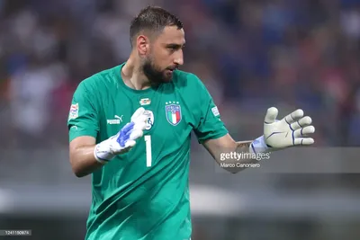 Фотографии Gianluigi donnarumma Фотографии, стоковые фотографии Gianluigi donnarumma - бесплатные фотографии | Depositphotos картинки