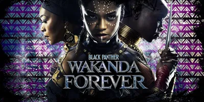 Black Panther: Wakanda Forever 2022 Movie 4K Wallpaper iPhone HD Phone #8651h картинки