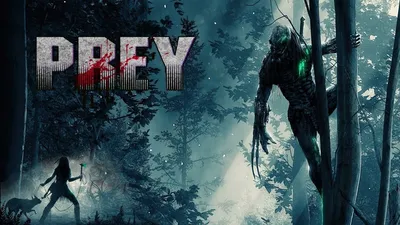 Prey (2022) _ Полнометражный голливудский боевик-триллер - YouTube картинки