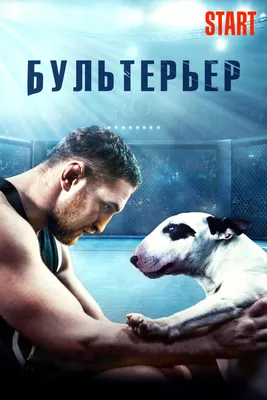 Bullterrier (Film, 2022) — CinéSéries картинки