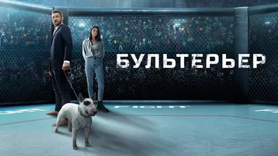 Бультерьер (фильм, 2022) — смотреть онлайн в хорошем качестве Full HD  (1080) или HD (720) картинки