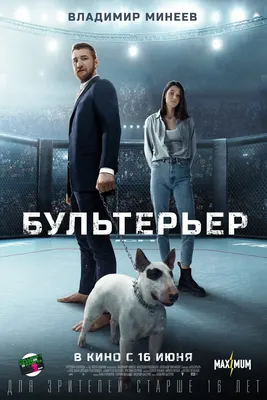 Bullterrier (2022) - IMDb картинки