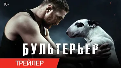 БУЛЬТЕРЬЕР | Трейлер | В кино с 16 июня — Видео | ВКонтакте картинки