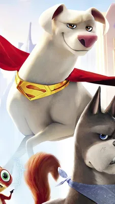 DC-Spaß für die ganze Familie: Darum lohnt sich «DC League of Super-Pets» для всех фанатов картинки