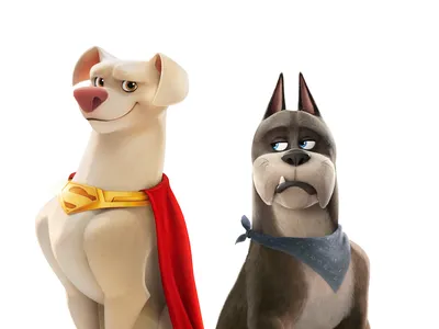 3840x2160 Dc League Of Super Pets 2 Movie 5k 4k HD 4k обои, изображения, фон, фото и картинки картинки