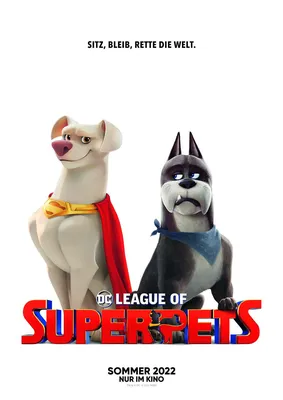 DC League of Super-Pets Movie 2022 4K Обои iPhone HD Phone #8681g картинки