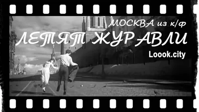 Летят журавли (СССР, 1957) – кино, описание, афиша картинки