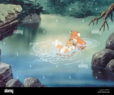 Disney's The Fox and the Hound + The Fox and the Hound 2 — 30 лет — Shopville картинки