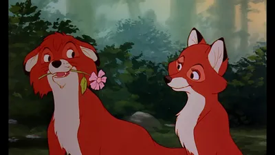 Fox Hound Disneyscreencapscom Movie The Fox и the Hound 2 сравните фотографии для Skylar5 | Português de partilha de imagens imagens картинки