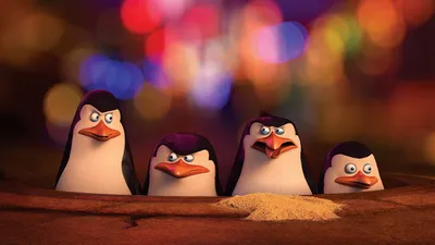 Posterhouzz Movie Penguins of Madagascar Cartoon HD Wallpaper Background Fine Art Paper Print Poster_** MOV392 : Amazon.in: Home \ u0026 Kitchen картинки