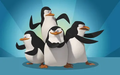 Мадагаскар обои HD | Penguins of madagascar, Мультфильмы, Мадагаскар картинки