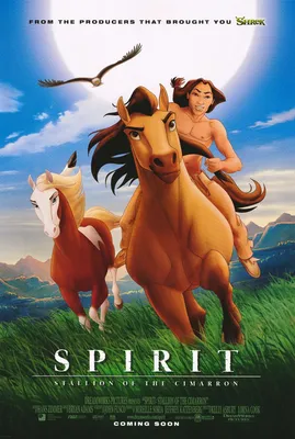 Обои – Фотографии – Spirit: Stallion of the Cimarron (2002) – Movies – OutNow картинки