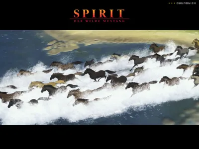 Spirit-Der Wilde Mustang | Фильм 2002 | Moviebreak.de картинки