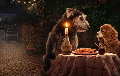 Обои собаки, фильм, Lady and the Tramp, Леди и Бродяга, Lady and the Tramp (2019) картинки на рабочий стол, раздел фильмы - скачать картинки