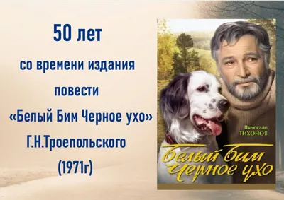 Видео сеанс - «Всеми любимый Бим» 2021, Павловский район — дата и место  проведения, программа мероприятия. картинки