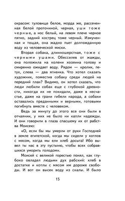 Книга Белый Бим Черное Ухо купить по выгодной цене в Минске, доставка  почтой по Беларуси картинки