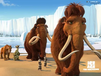 Ice Age 2 Wallpapers - Ледниковый период 2 The Meltdown Обои (9855229) - Fanpop картинки